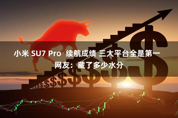 小米 SU7 Pro  续航成绩 三大平台全是第一  网友：藏了多少水分