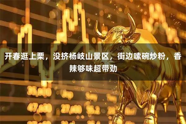开春逛上栗，没挤杨岐山景区，街边嗦碗炒粉，香辣够味超带劲
