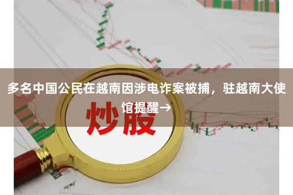 多名中国公民在越南因涉电诈案被捕，驻越南大使馆提醒→