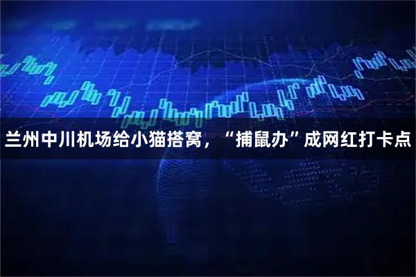 兰州中川机场给小猫搭窝，“捕鼠办”成网红打卡点